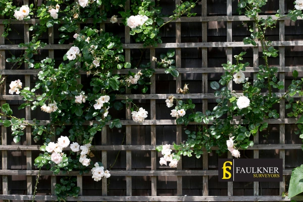 Can I put trellis on my Neighbours garage wall? 2 Do you want to adapt your neighbours garage door and add a trellis Bristol? Talk to Faulkner Surveyor Bristol